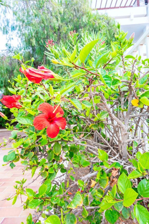 Vivienda Vacacional Rose Costa Teguise Exteriér fotografie